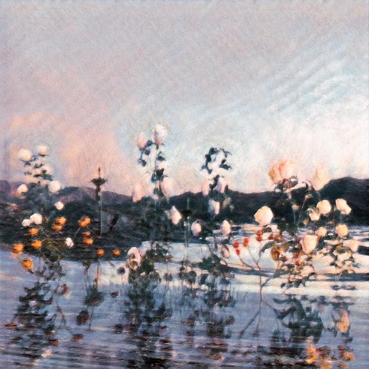 Amazon.co.jp: 極夜において月は語らず(CD2枚組)(初回生産限定): Music