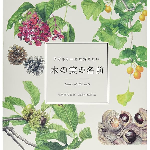 子どもと一緒に覚えたい 野鳥の名前 (momobook) | 山﨑宏, momo編集部