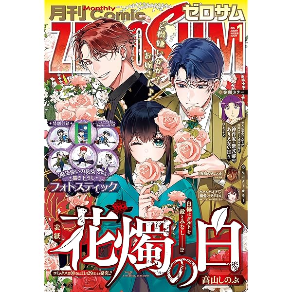 Comic ZERO-SUM (コミック ゼロサム) 2025年6月号[雑誌] | Comic ZERO