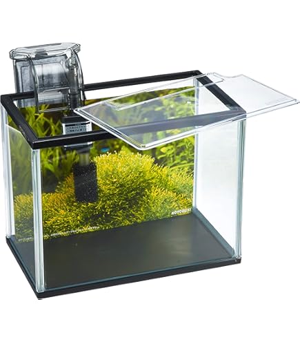 Amazon | コトブキ 水槽 アクアステップ B‐PFセット M サイズ