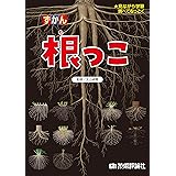 根っこ