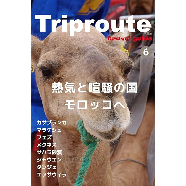 Amazon.co.jp: ベルベル語とティフィナグ文字の基礎 タリーフィート語