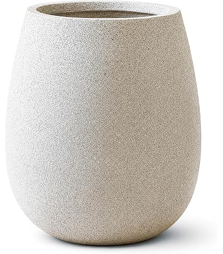 Amazon.co.jp: グリーンポット テラニアス バルーン アンティーク
