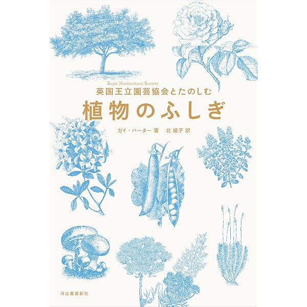 Amazon.co.jp: ビジュアル 進化の記録: ダーウィンたちの見た世界