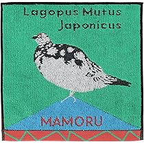 Amazon | [カトコア] ハンカチ mamoruタオルハンカチ10907001