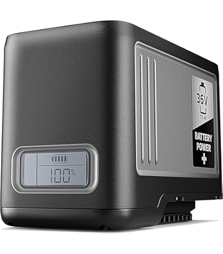 Amazon | ケルヒャー(KARCHER) 急速充電器 BC 36V | 高圧洗浄機本体