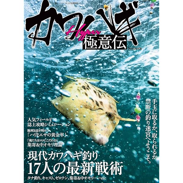 趣味】釣りの本 hqdefault.jpg