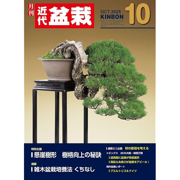 Amazon.co.jp: 作業実例から学ぶ 五葉松盆栽: プロの作業実例で