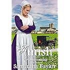 Amish Promise: Amish Romance (Amish Homecoming Book 3)
