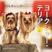 ヨークシャーテリア　額付プリント　アメリカン　シリアルナンバー付き 91jMnK0gucL._AC_UL210_SR210,