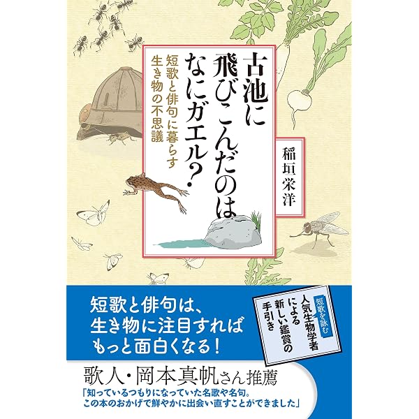 Amazon.co.jp: なぜ仏像はハスの花の上に座っているのか 仏教と植物の