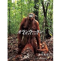 オランウータン──森のさとりびと | 前川貴行 |本 | 通販 | Amazon
