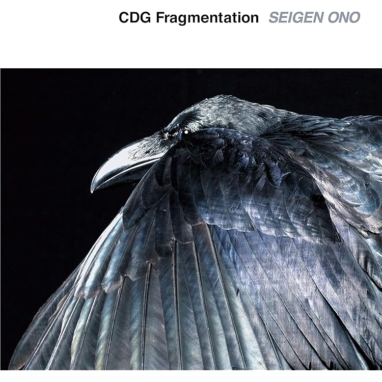 Amazon.co.jp: COMME des GARCONS: ミュージック