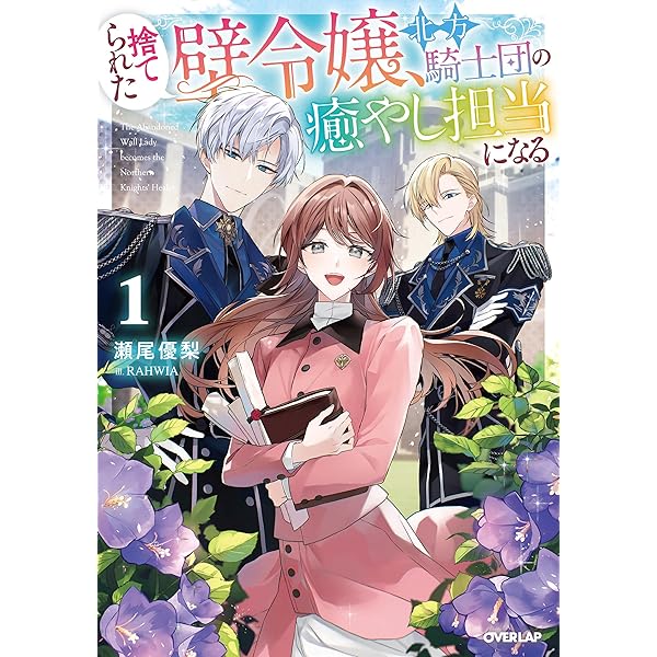 看護系資料24冊セット 看護系資料24冊セット 看護系資料24冊セット