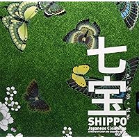 七宝入門 七宝入門―桂七宝研究所・教室ノート : Amazon.de: Bücher