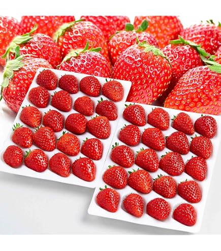 Amazon.co.jp: 【☆加工用 夏秋いちご】常識を超えた甘さ「夏いちご
