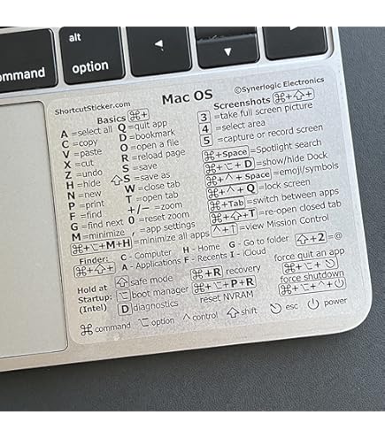 Amazon.co.jp: SYNERLOGIC (M1+Intel) Mac OS (Big Sur/Catalina