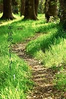 �ߌ�̃X�g�[���[�@ ��P��