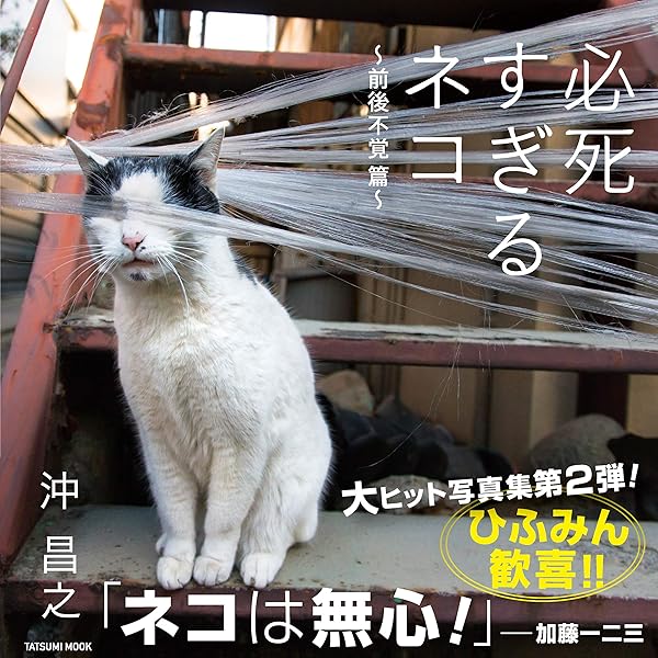 飛び猫 (角川マガジンズ) | 五十嵐健太 | 写真 | Kindleストア | Amazon