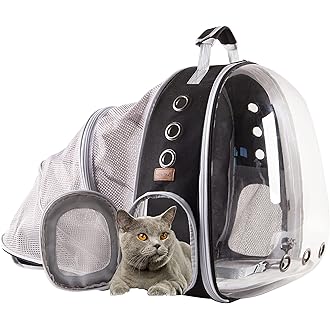 outdoor cat carrier