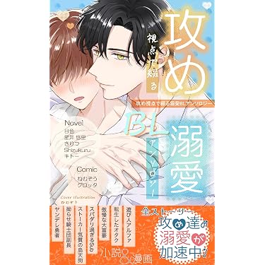 Amazon.co.jp 売れ筋ランキング: ボーイズラブノベルス の中で最も人気