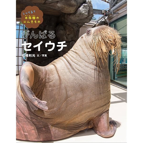 Amazon.co.jp: セイウチ (イラストで学ぼう!北極圏の動物たち