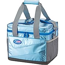 91knV4gvLCL._AC_UL210_SR210,