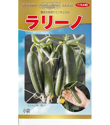 Amazon.co.jp: キュウリ 胡瓜 種子 ラリーノ ミニきゅうり (Green 10粒