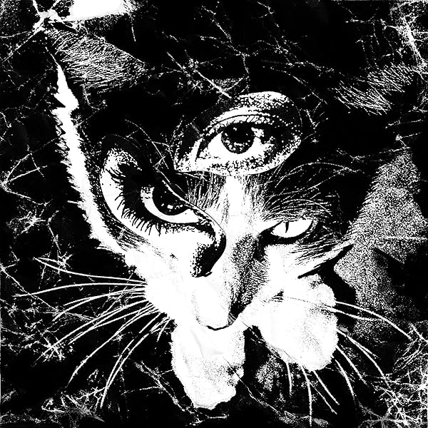 東京酒吐座 turnaround CD オリジナル盤 特典DVD付き CQ Tokyo Shoegazer / 東京酒吐座商品一覧｜JAZZ｜ディスクユニオン