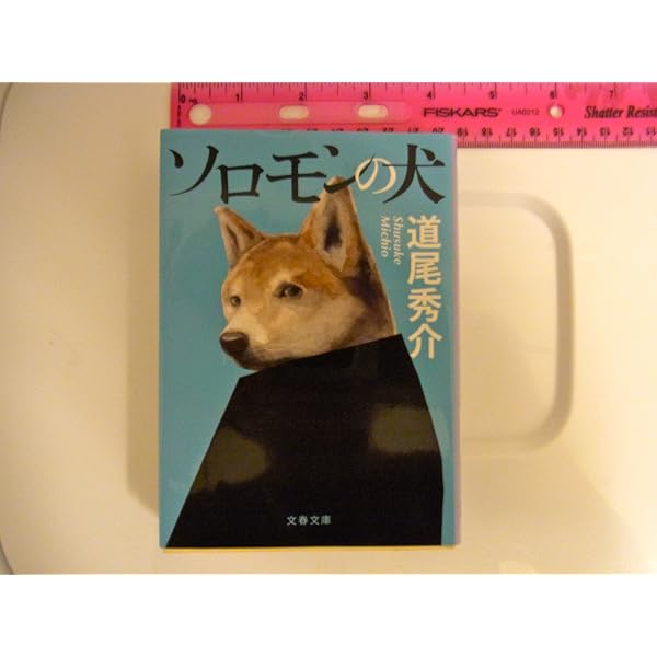 Amazon.co.jp: 透明カメレオン (角川文庫) : 道尾 秀介: 本