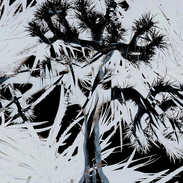 ざわめき完全生産限定盤 Amazon.co.jp: ざわめき[完全生産限定盤] - Plastic Tree [CD+BOOK