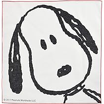 91lPRCZgiZL._AC_UL210_SR210,