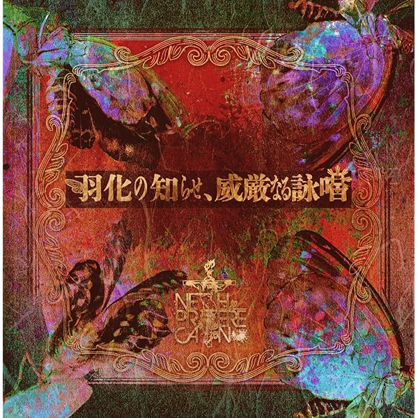 Amazon.co.jp: 大地へ還る生命、最果ての鎮魂歌 (豪華盤): ミュージック
