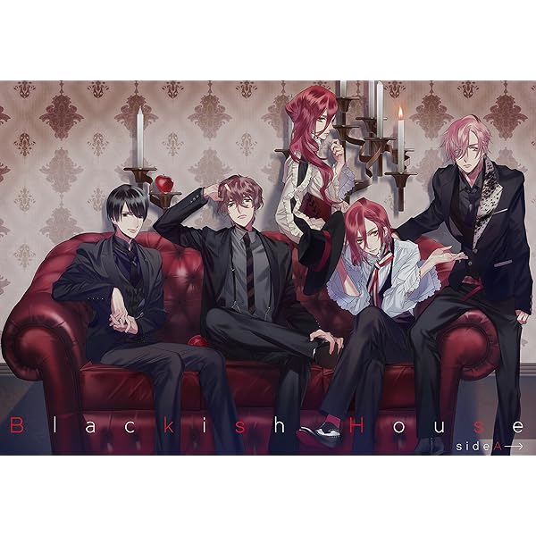 Amazon | 【初回限定版】Blackish House sideA→ | PCゲーム