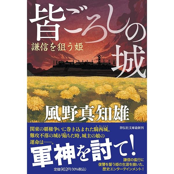 Amazon.co.jp: 匣真演義-姫賊 僑燐伝 (単行本) : 矢野 隆: 本