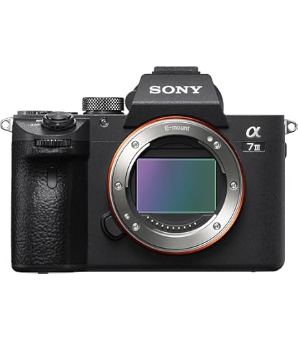 Amazon.co.jp: Sony (ソニー) - FE 24-105mm F4 G OSS 標準