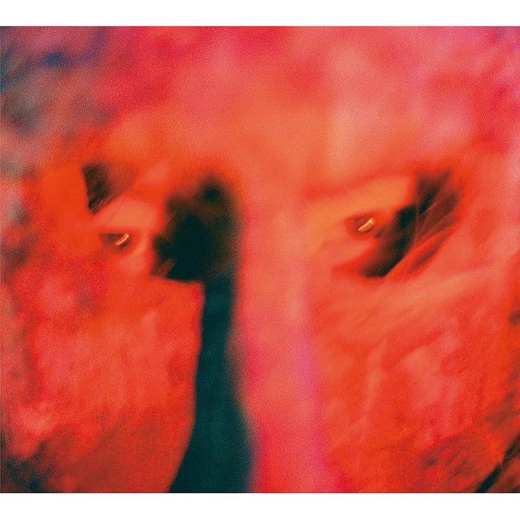 Amazon.co.jp: 狂(KLUE): ミュージック