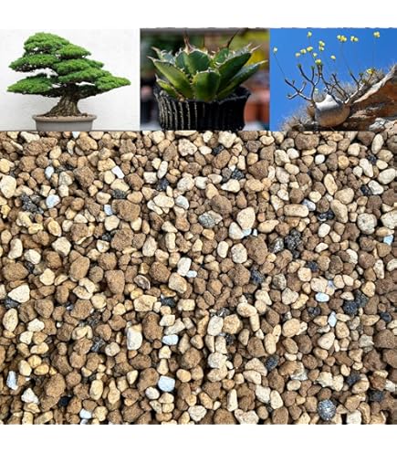 Amazon | Leap Raupe 【富士砂入り】塊根植物の土 サボテンの土