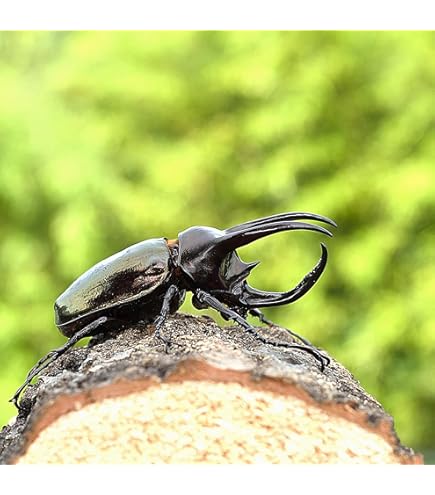 カ*ー様 キラク　KFT-70 #3〜4 FunCruise ZXZ （ゼッツ）｜BULLET(バレット)通販