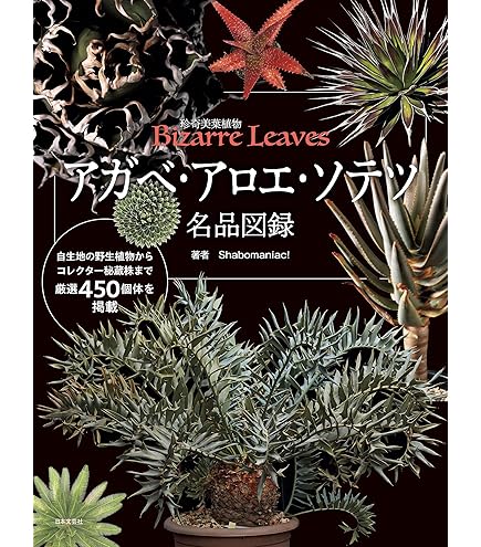 Amazon.co.jp: 186.葉が銀色に輝くヤシのカリスマ的存在！ビスマルキア