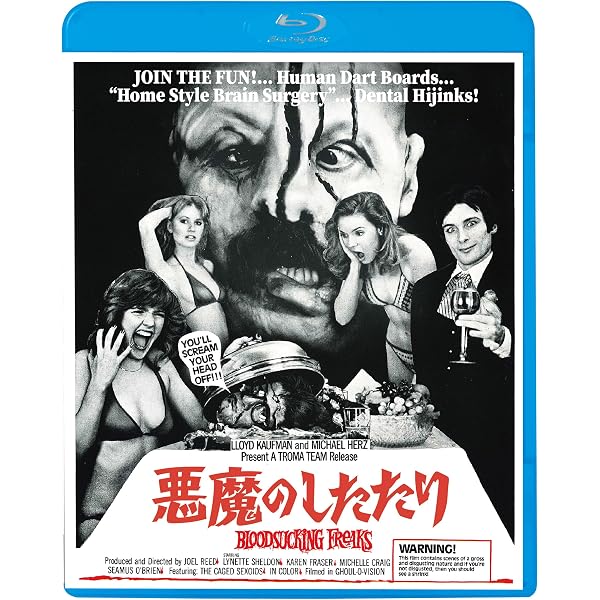 Amazon.co.jp: ザ・ボーイ~人形少年の館~ [Blu-ray] : ローレン