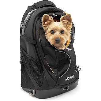 dog haversack