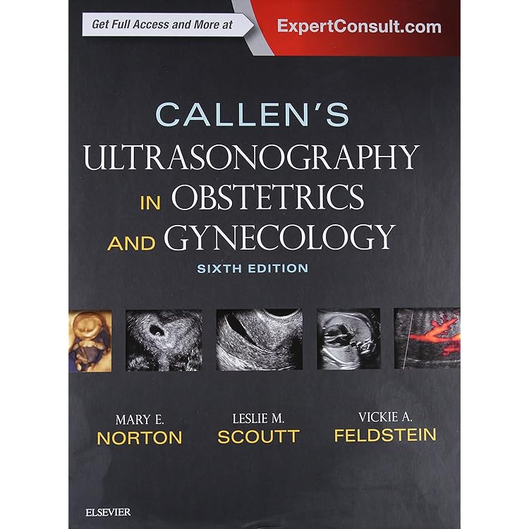 健康・医学 A Practical Guide to Fetal 31EZFb5yP6L._AC_UF350,