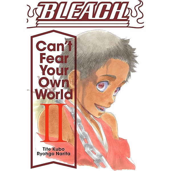 Bleach: Can't Fear Your Own World, Vol. 1 eBook : Narita, Ryohgo