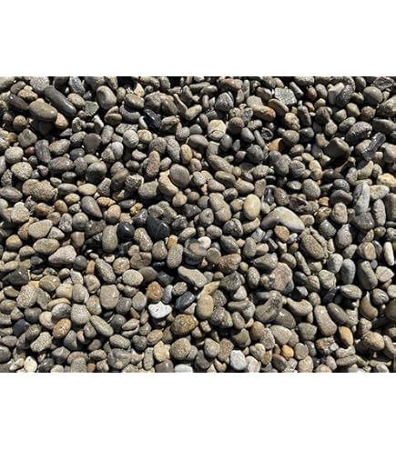 Amazon | 玉砂利 大磯砂利 3分 20kg | 砂利