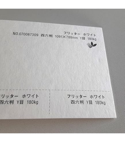 Amazon.co.jp: フリッター 紙 180kg B5サイズ 32枚入り 選べる11