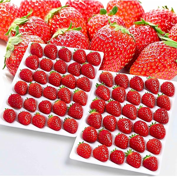 Amazon.co.jp: 【糖度12度の別世界 いちご】常識を超えた甘さ「絶品