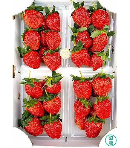 Amazon.co.jp: 超大粒 イチゴ とちおとめ・とちあいか章姫等 約600g