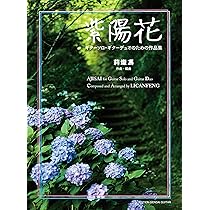 切花　紫陽花　ダズル　1本　サムライ2本 楽天市場】【花終わり】アジサイ（紫陽花・あじさい） レッドB