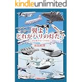 翼よ！ どれがパリの灯だ？: 迷走航空史への招待